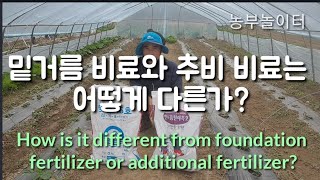 밑거름 비료와 추가비료는 어떻게 다른가? How is it different from foundation f…