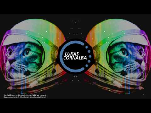 Ummet Ozcan vs. Zombie Nation vs. W&W vs. Loopers - Spacecats vs. Kernkraft 400 vs. Going In