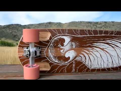Carving and pumping a skateboard or longboard.