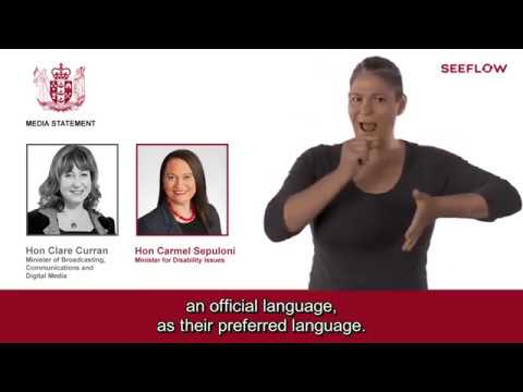 How to Sign Translator in NZSL