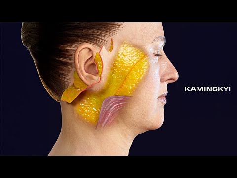 3D animation: Deep plane Face lift  ⭕️  #kaminskyi