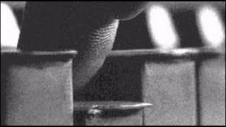 Alberto Favero Trio "Little Old Lady" (Pequeña vieja Señorita)