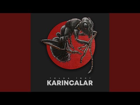 Karıncalar