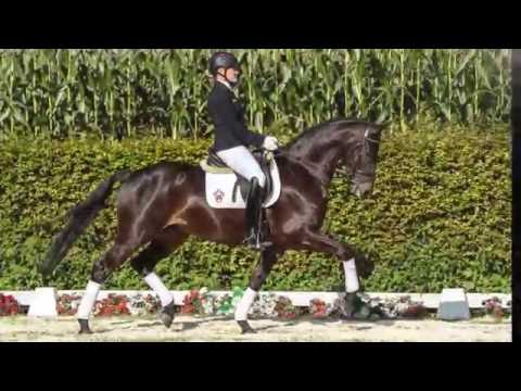 40 Slogan  Wallach v. Schumacher - Florestan I