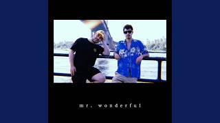 Mr. Wonderful