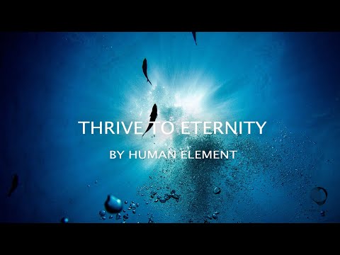 Human Element - Thrive to Eternity | Progressive House | DJ Set