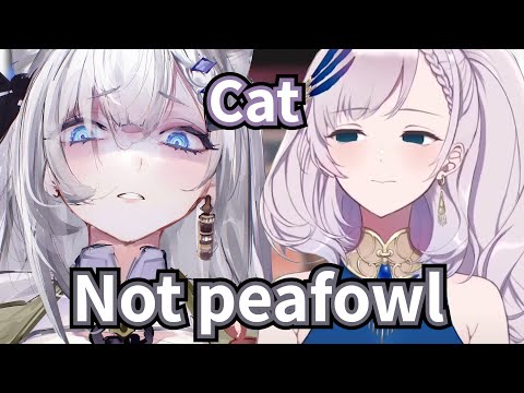 Zeta says there won't be a next collab with Reine 【Hololive ID Gen 3】