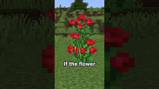 Download lagu Minecraft Infinite Flower Trick mp3 Download lagu Minecraft Infinite Flower Trick mp3
