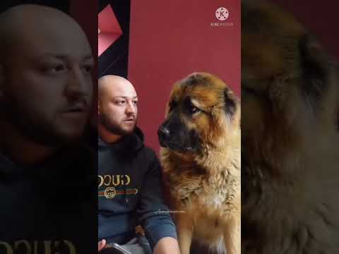 😅😅😅😅😅😅😅O No#shorts #trend #trends #trand #viral #viralvideo #shortsvideo