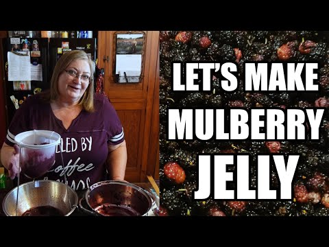 How to Make MULBERRY JELLY Recipe - Delicious & Easy