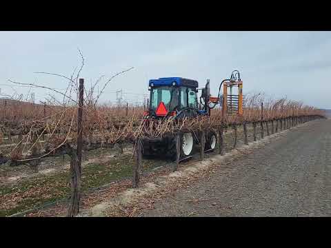 Provitis Pre Prunner