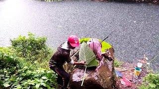 Download lagu TRAGIS..!!!! SAAT MANCING DATANG HUJAN LEBAT❗ #shorts #wildfishing mp3