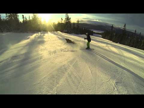 Best of Fredrik Johansson