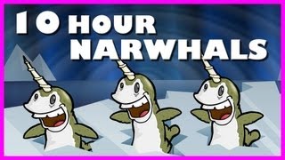 Narwhals | 10 Hours