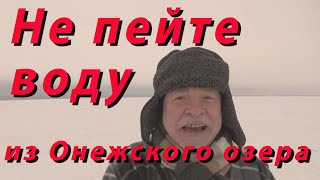 Рыбалка в уницкой губе онежского озера