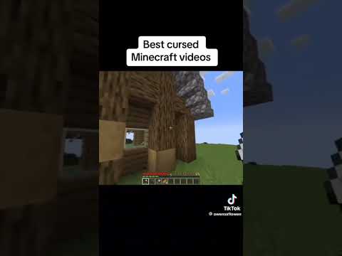 Ultimate Cursed Minecraft Moments