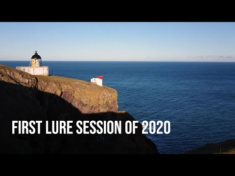 Winter Lure Fishing | Coalies and Something Big