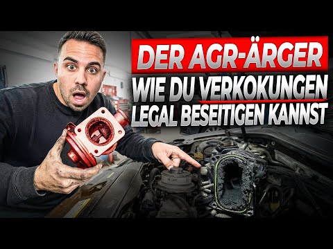 Legally disable EGR 🤯 You absolutely must avoid these expensive engine damages!
