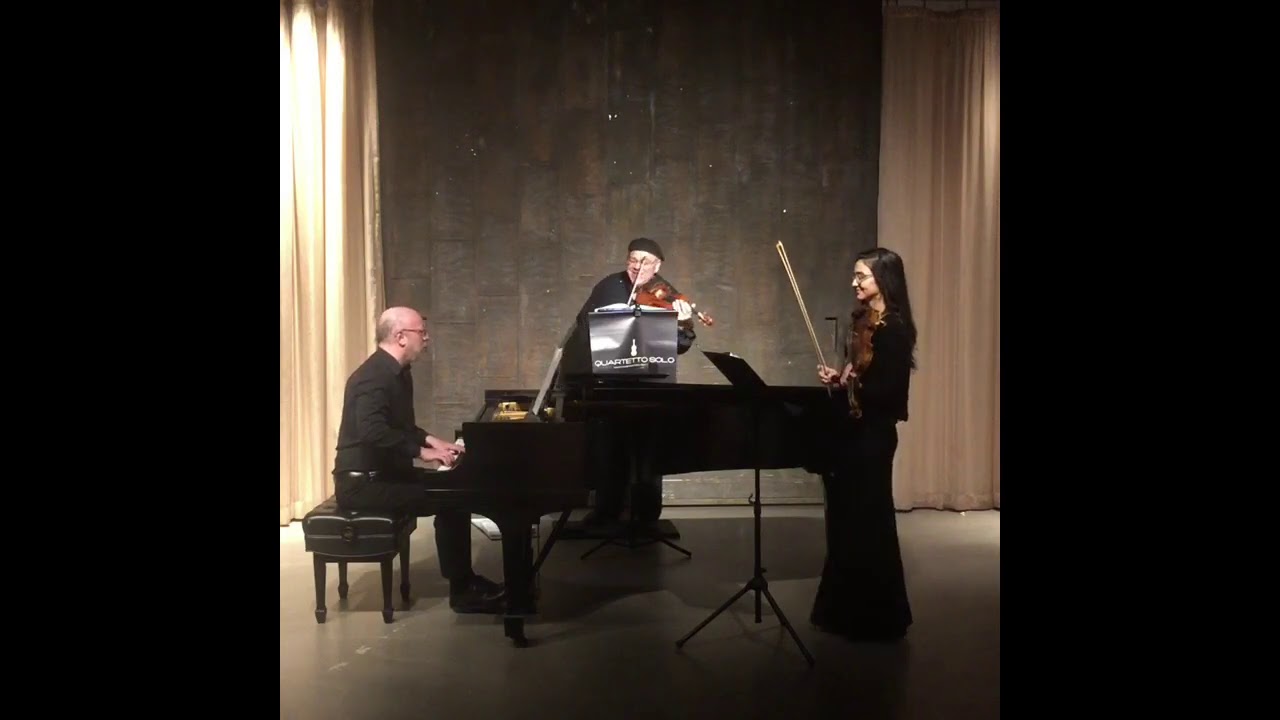Promotional video thumbnail 3 for String Theory Chamber Ensemble