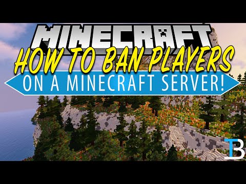 Minecraft 1.19 important server commands
