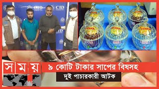 সাপের হলুদ বর্ণের বিষ যেন তরল ডায়মন্ড | Snake Venom in Bangladesh | Sanke Poison | Somoy TV