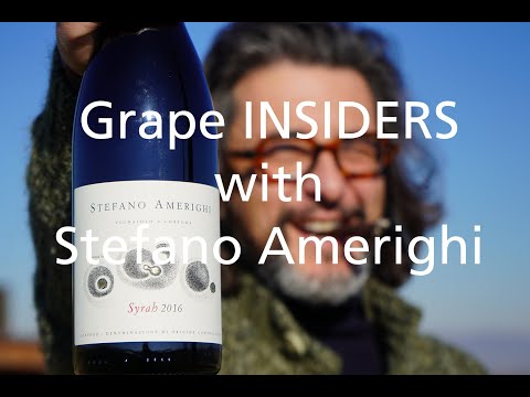 Grape INSIDERS: Pruning Syrah with Stefano Amerighi in Cortona, Tuscan Wine Tours