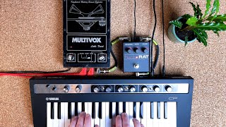 Video thumbnail for Yamaha Reface CP, Proco Turbo Rat and Multivox Little David LD-2 // Elegy by Django