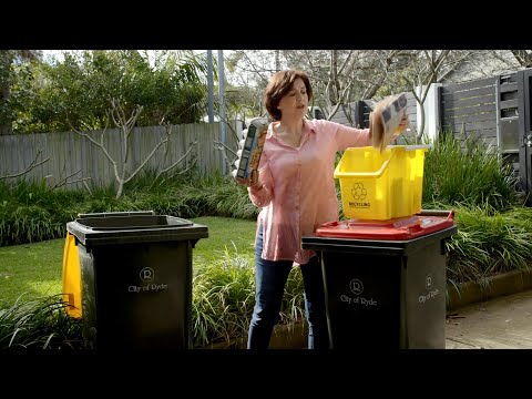 Recycling Right - Your Recycling Bin