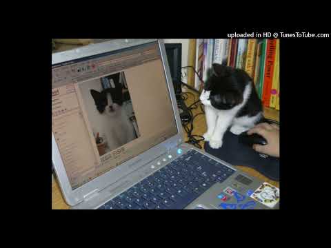 [free] twikipedia + dollywood type beat (prod breakupbreakdown)