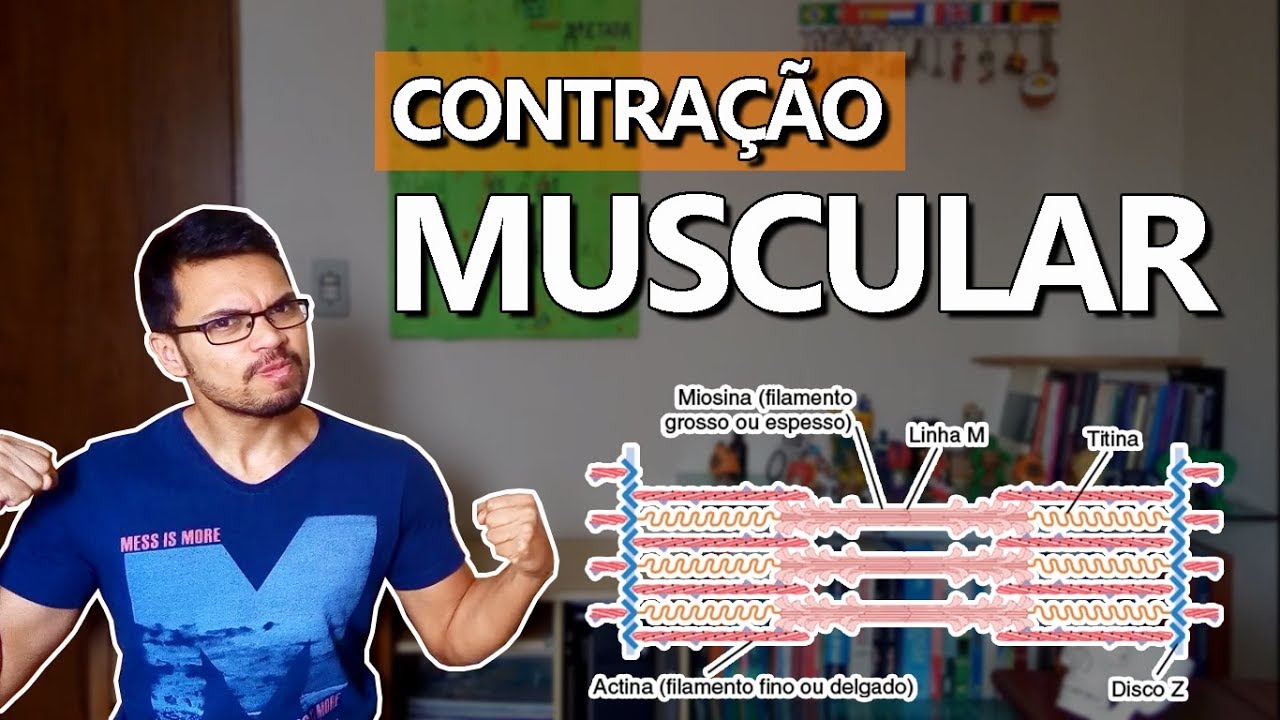 CONTRAÇÃO MUSCULAR [Fibras Musculares 01]