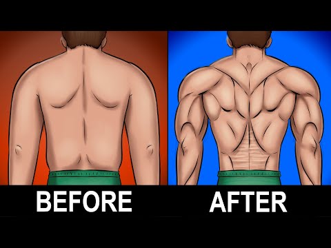 7 BEST Exercises for a Stronger Lower Back