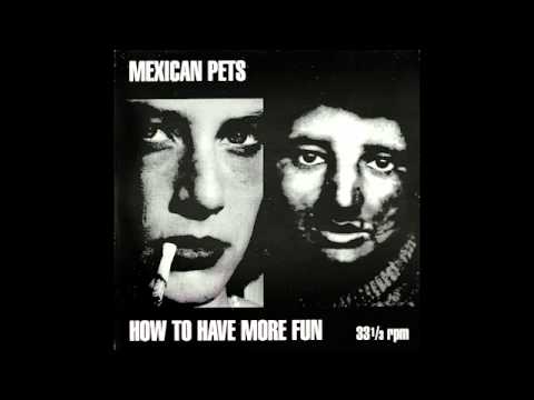 Mexican Pets: How to have more fun
