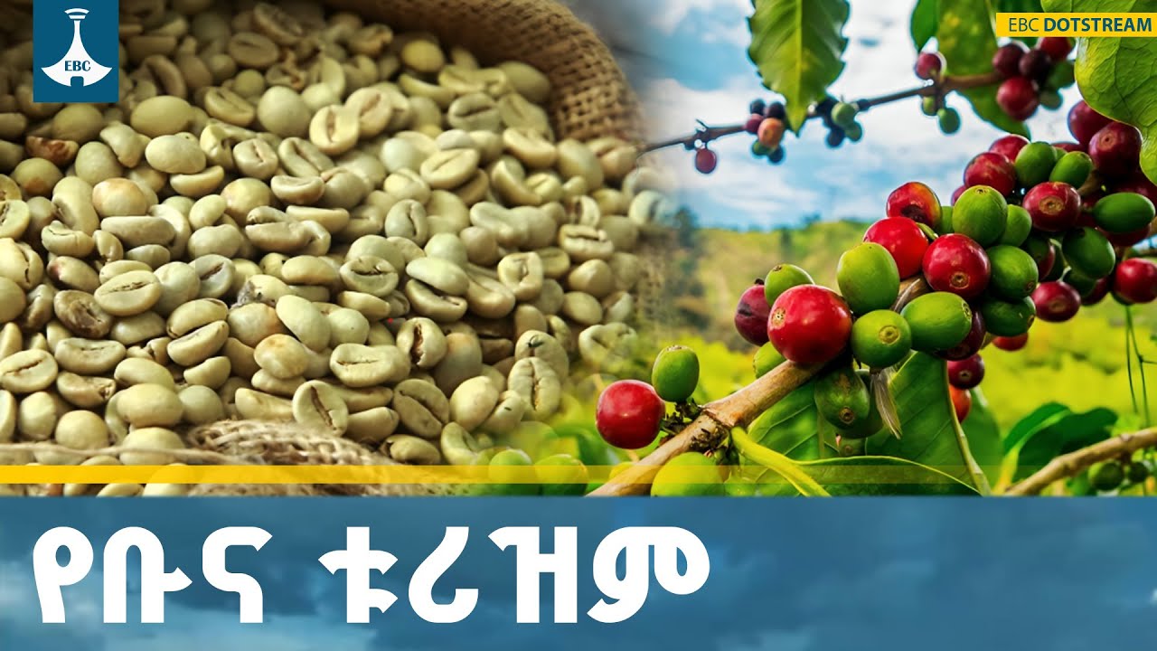 የቡና ቱሪዝም ጉዞ በጅማ፣ በከፋ ፣ በሲዳማ እና በይርጋጨፌ እየተደረገ ይገኛል | Coffee Tou