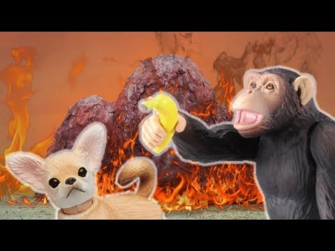 【アニアおはなし】おもしろむかしばなし さいゆうき？【タカラトミーキッズ】 親子で楽しくあんしん | ファミリー | おはなし | 公式 | タカラトミー公式