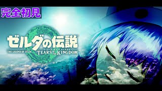 【ゼルダの伝説 ティアーズオブザキングダム】#02　リトの村に行ってチューリ君に会いたいです！！！！！！！【※ネタばれ注意】