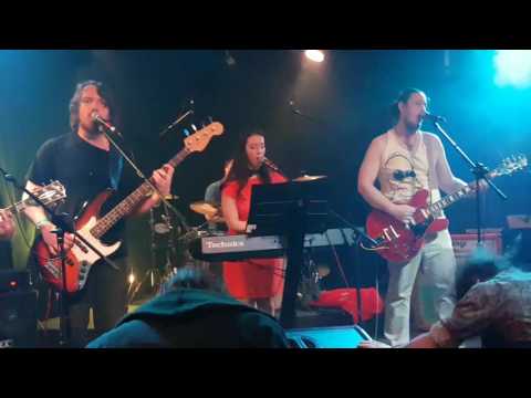 When the light (whoopie cat live at the barn)