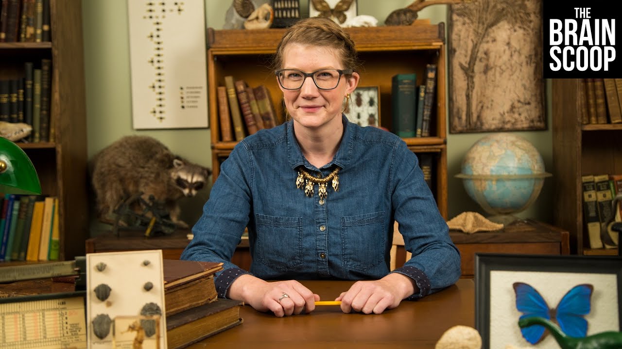 A Commitment to Curiosity.