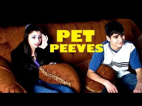 Pet Peeves 2