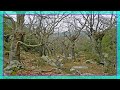 Robin Trower - Once The Spell Is Broken