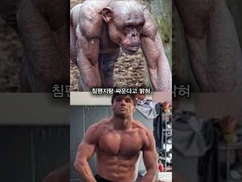 침팬지랑 싸운다는 MMA 파이터, 