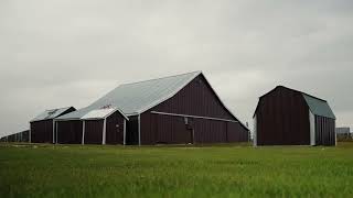 Mixed Farm & Ranch Opportunity Near Holdfast, SKRM of Sarnia #221