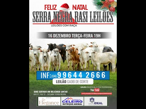 LEILÃO  SERRA NEGRA RASI LEILÕES - PIRACANJUBA - GO | 16 DE DEZEMBRO DE 2025