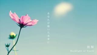 Backlight of Youth 「秋桜」