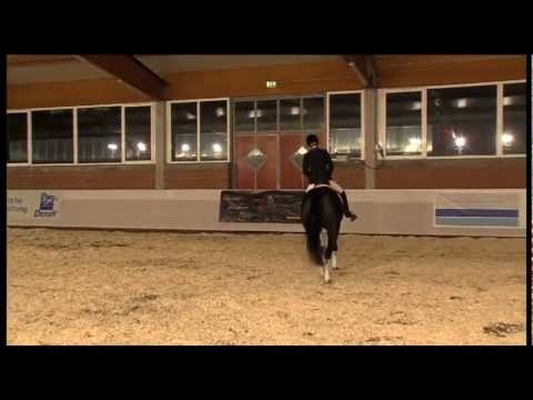 Don Nobless in Neuenkirchen