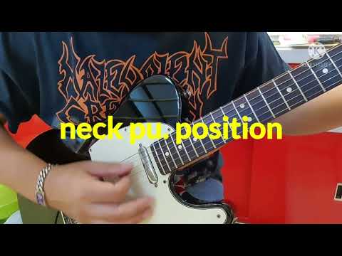 Fender telecaster (USA)VS Fernandes TL52 (JP)