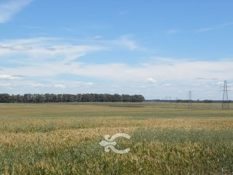 Video de YouTube - Estancia en venta en Río Negro ref. 966