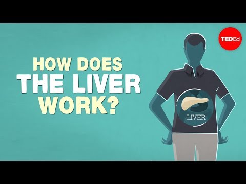 What does the liver do? - Emma Bryce