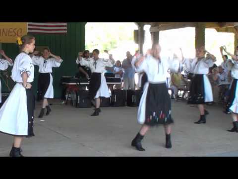 2010 Romania Picnic - Hora dance 3 : Crihalma