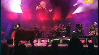 Amaral, El Universo Sobre Mí, Festival de Viña 2006