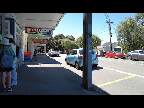 4K Afternoon Walk. Kelburn Shops - Karori Tunnel. Wellington, New Zealand. December 8, 2021.